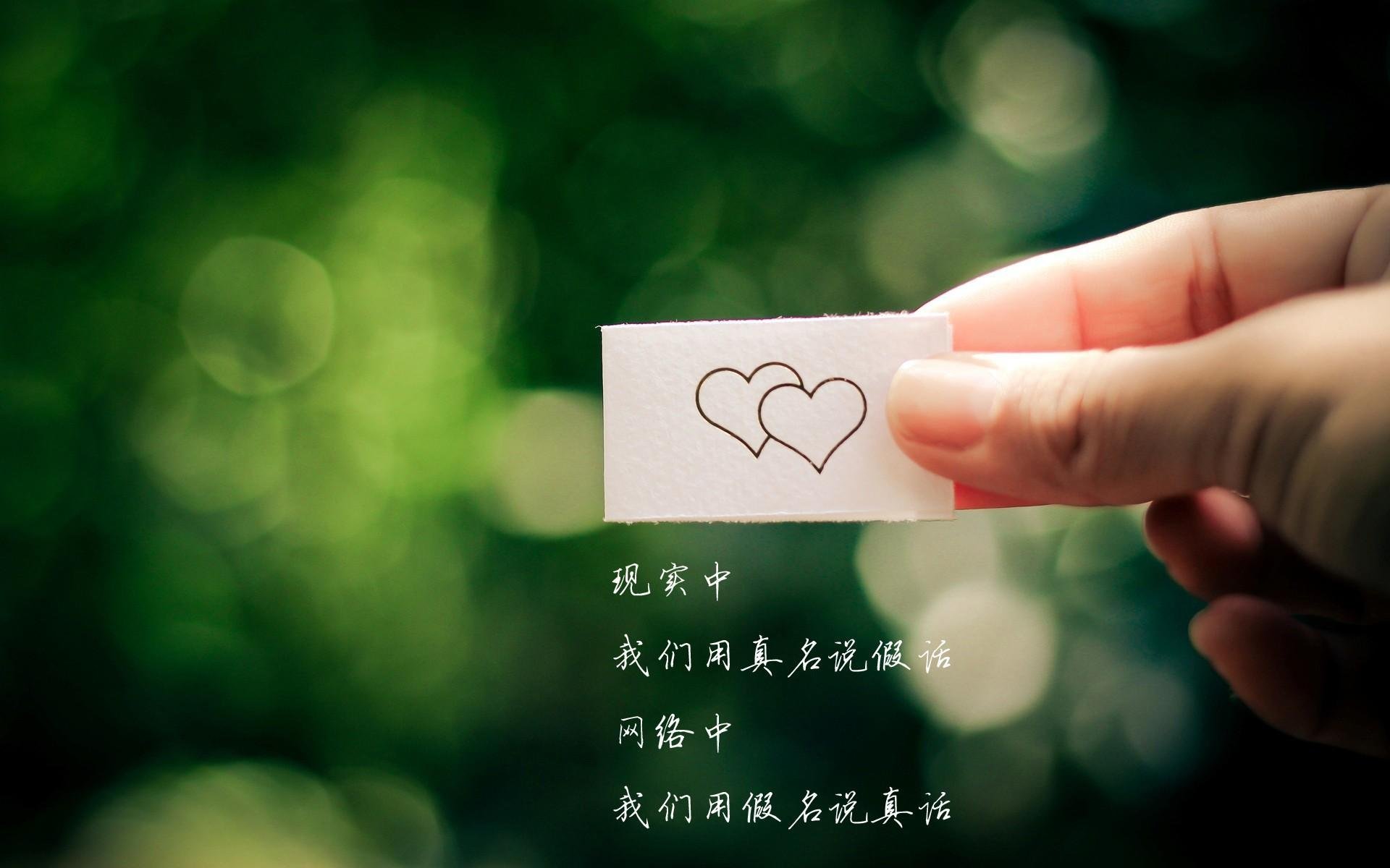 全国冰壶竞技锦标赛，冰面策略的精彩演绎，冰壶全国冠军赛