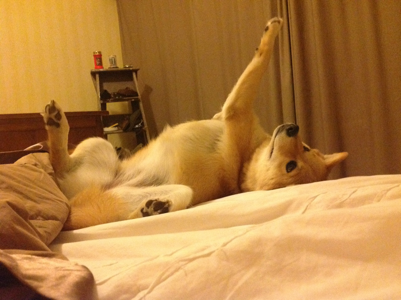 史上“炸裂”逆转:那些不可能变成可能的奇迹瞬间,不可逆转的未来