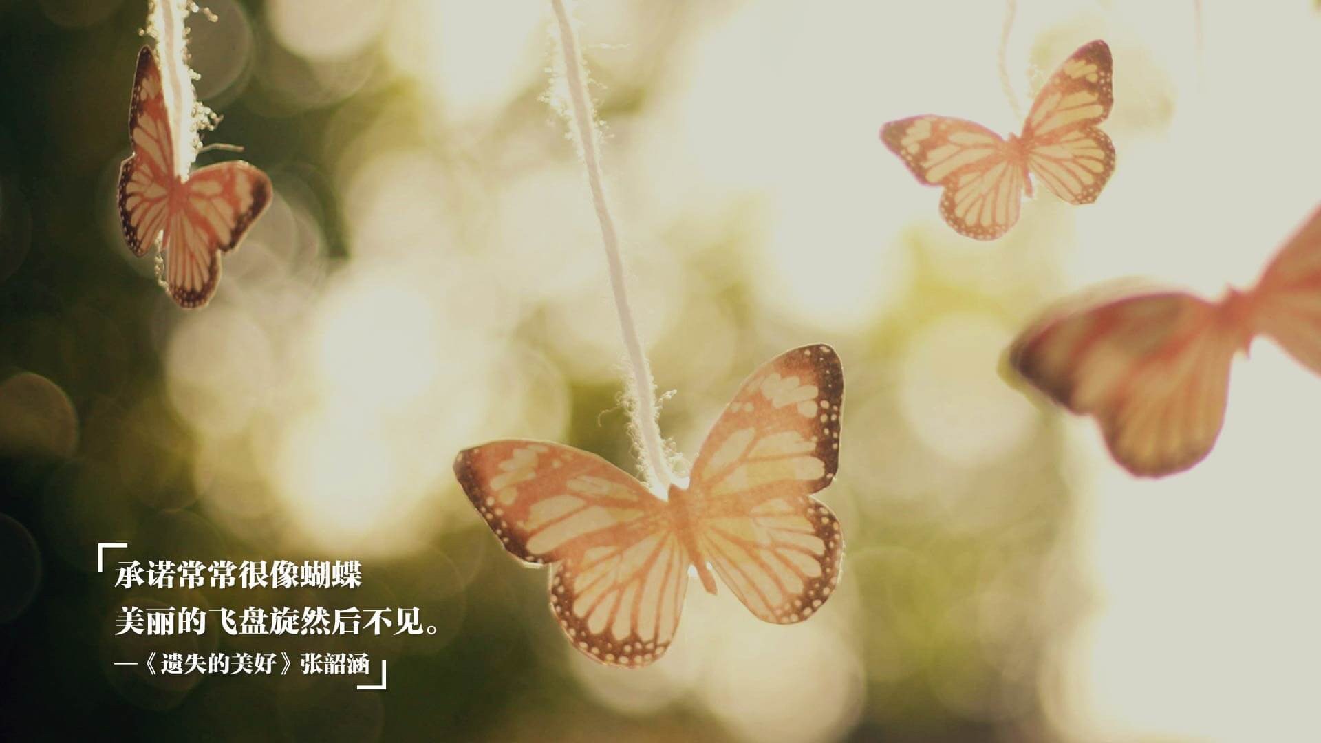 塞内加尔男足在巴黎奥运会上获得银牌，创历史，塞内加尔国足